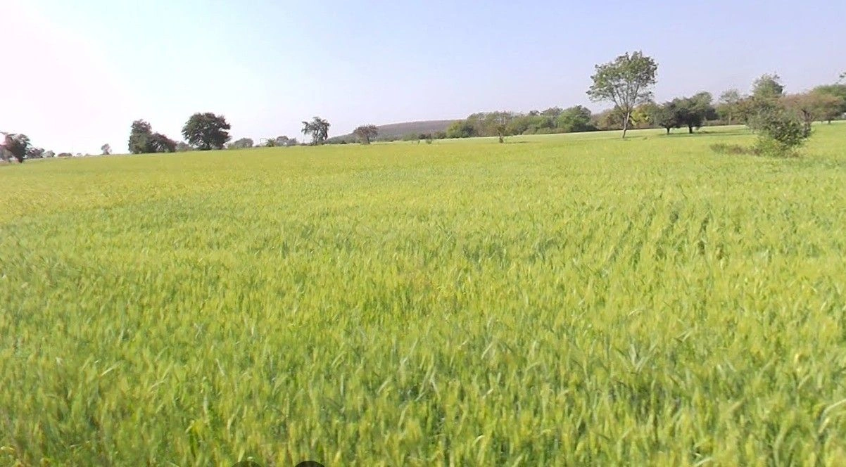 Parsoli, Madhya Pradesh 456550, India