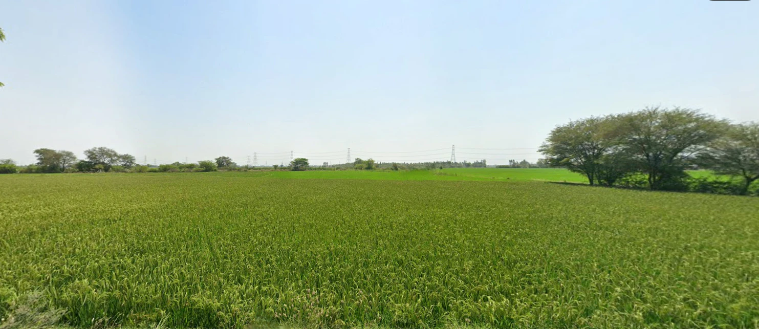Vasna Keliya, Gujarat, India