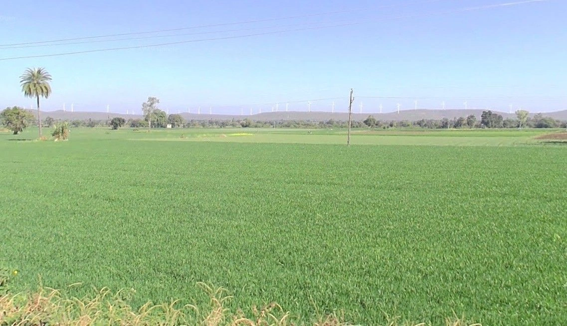 Mirzapur, Madhya Pradesh 455221, India