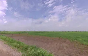 Sikar, Rajasthan, India preview 3