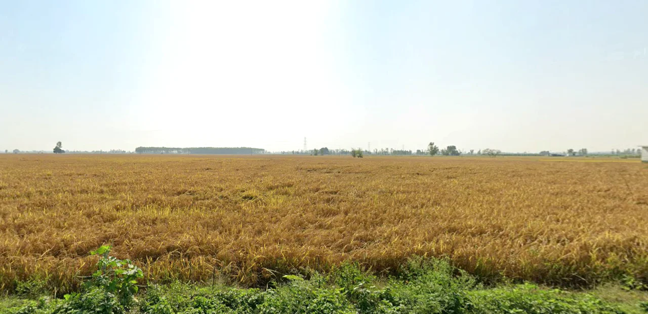 Chilli, Himachal Pradesh 177042, India preview 3