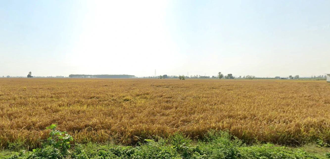 Chilli, Himachal Pradesh 177042, India