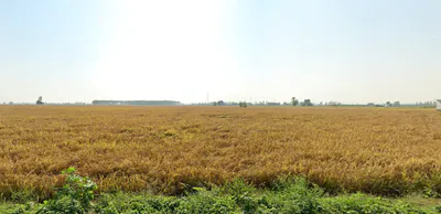 Chilli, Himachal Pradesh 177042, India preview 3