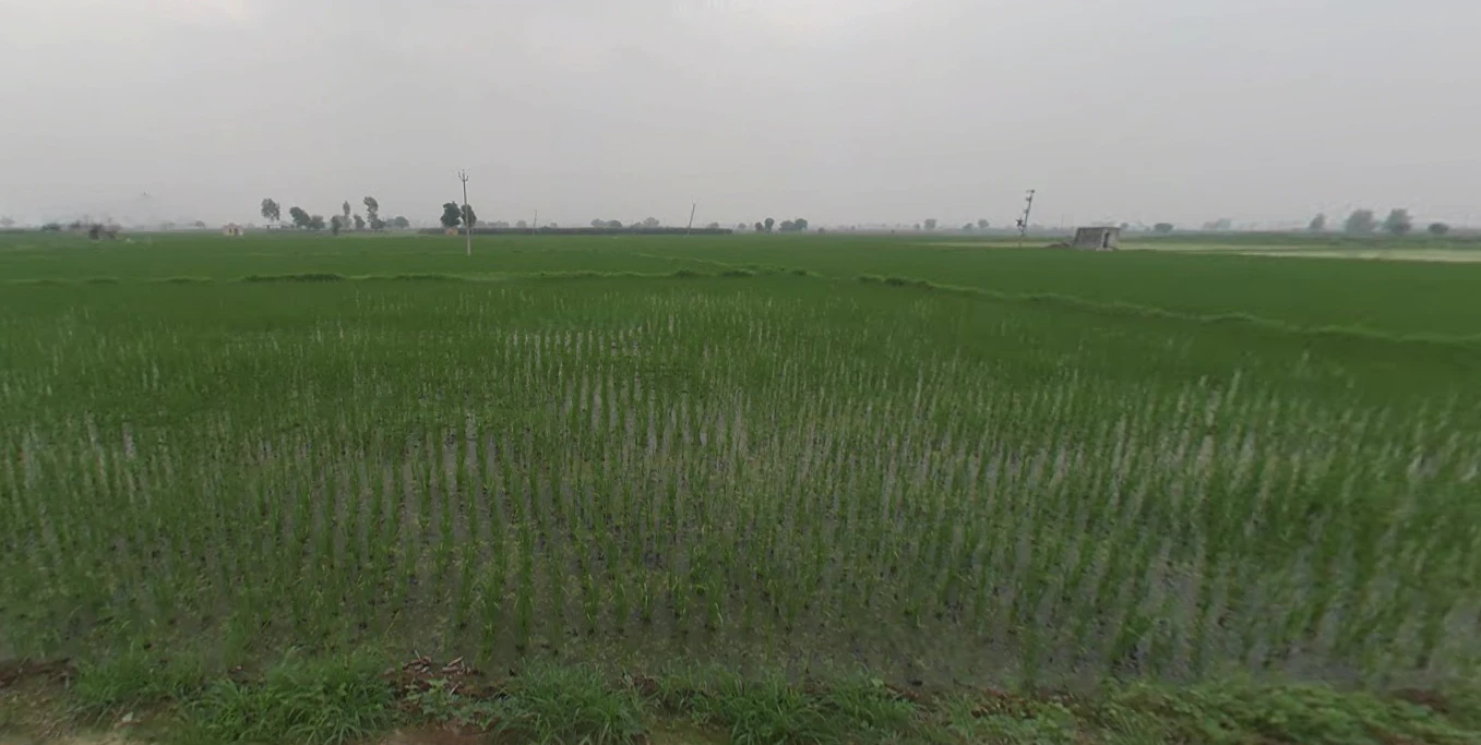 Dusarana, Punjab 140103, India