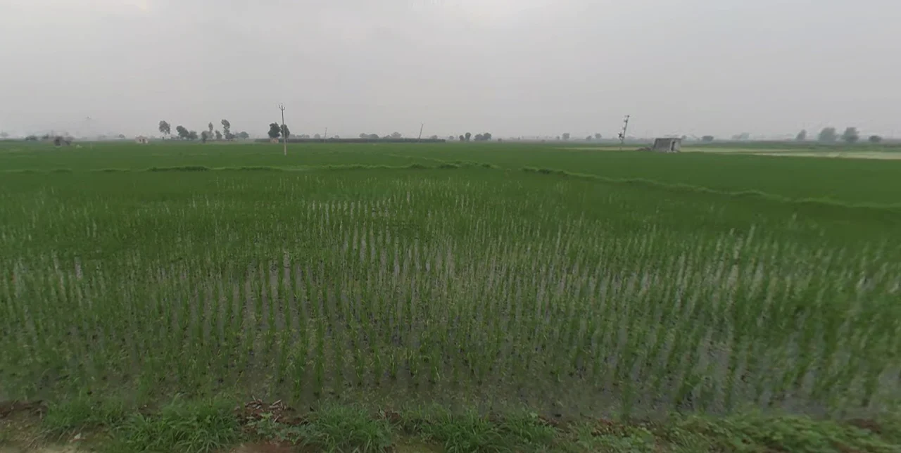 Dusarana, Punjab 140103, India preview 3