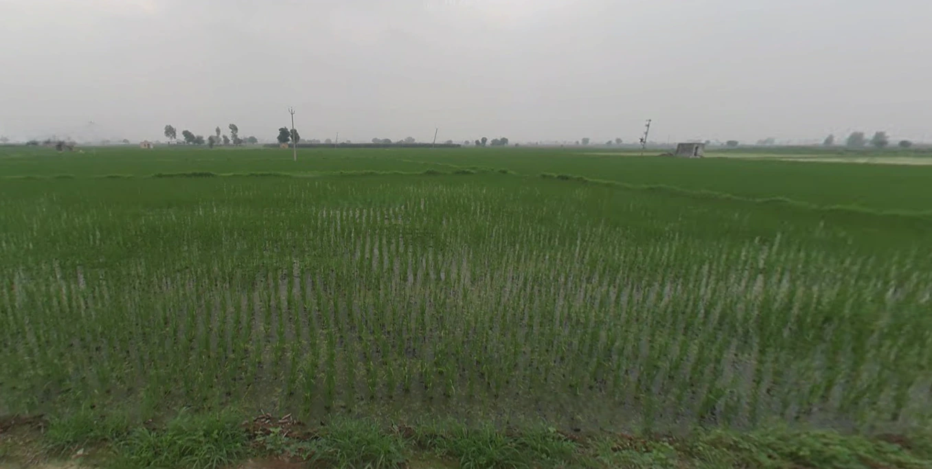 Dusarana, Punjab 140103, India