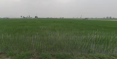 Dusarana, Punjab 140103, India preview 3