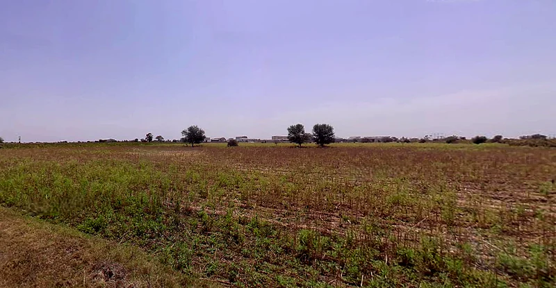 Endla, Gujarat 384285, India preview 2