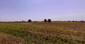 Endla, Gujarat 384285, India preview 2