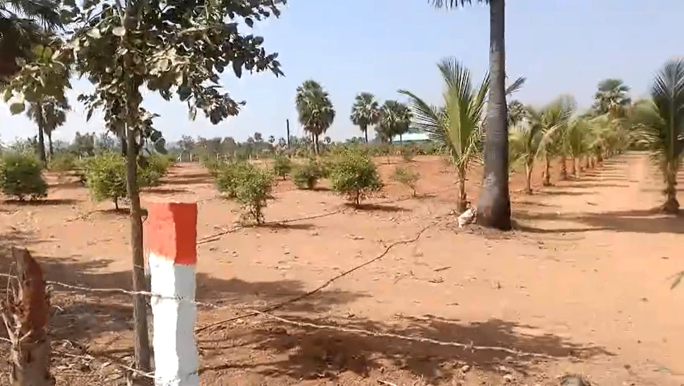 QG2M+FJ Veldanda, Telangana, India