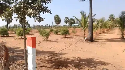 QG2M+FJ Veldanda, Telangana, India preview 3
