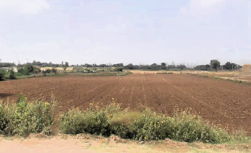 H6VG+6M, Charkhi Dadri, Haryana 127306, India preview 3