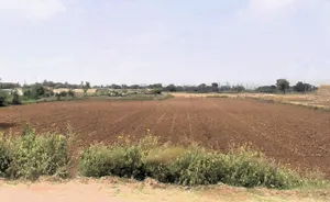 H6VG+6M, Charkhi Dadri, Haryana 127306, India preview 3