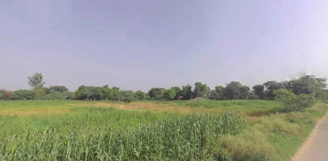 Bilond, Rajasthan 321022, India