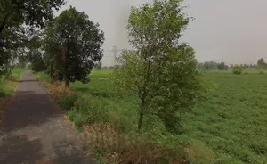 Machhra, Uttar Pradesh 250106, India preview 2
