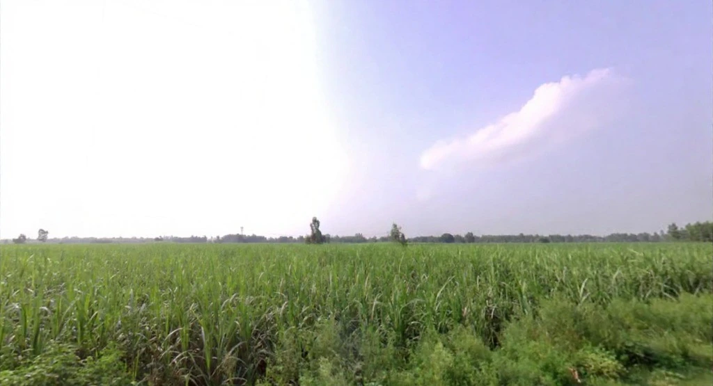 Suheli, Uttar Pradesh, India