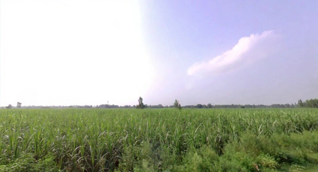 Suheli, Uttar Pradesh, India