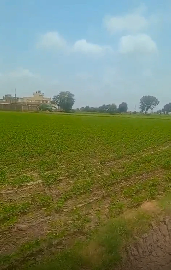 9527+MX4, Ujjain, Kanardi, Madhya Pradesh, India