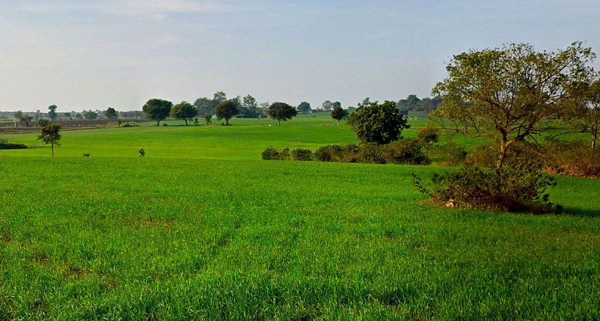 97C6+QXM, Chhindwada, Madhya Pradesh 462036, India