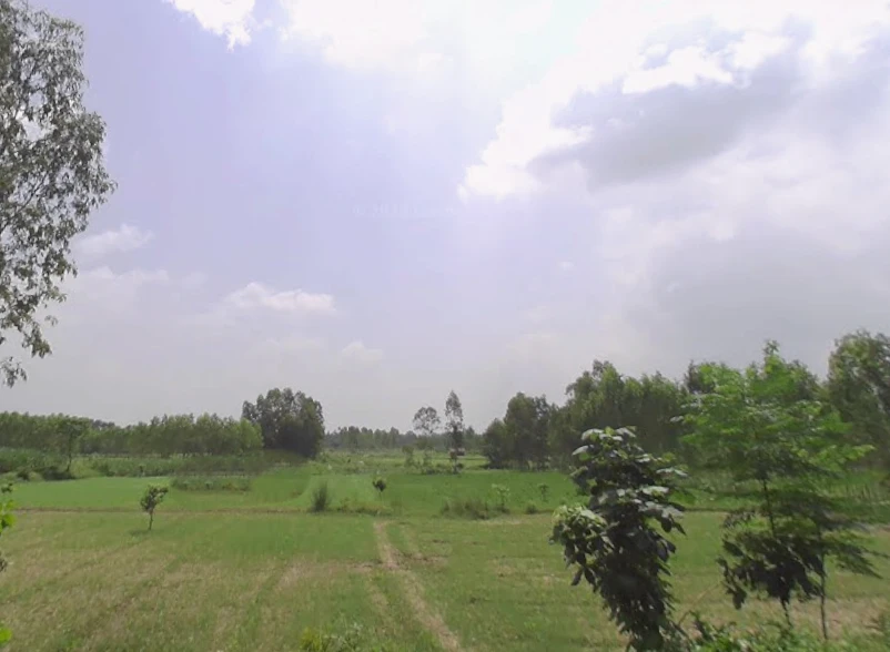 Manjhipur, Uttar Pradesh 247129, India
