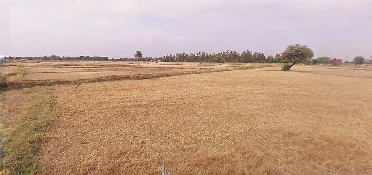 Chandausi, Uttar Pradesh 244412, India