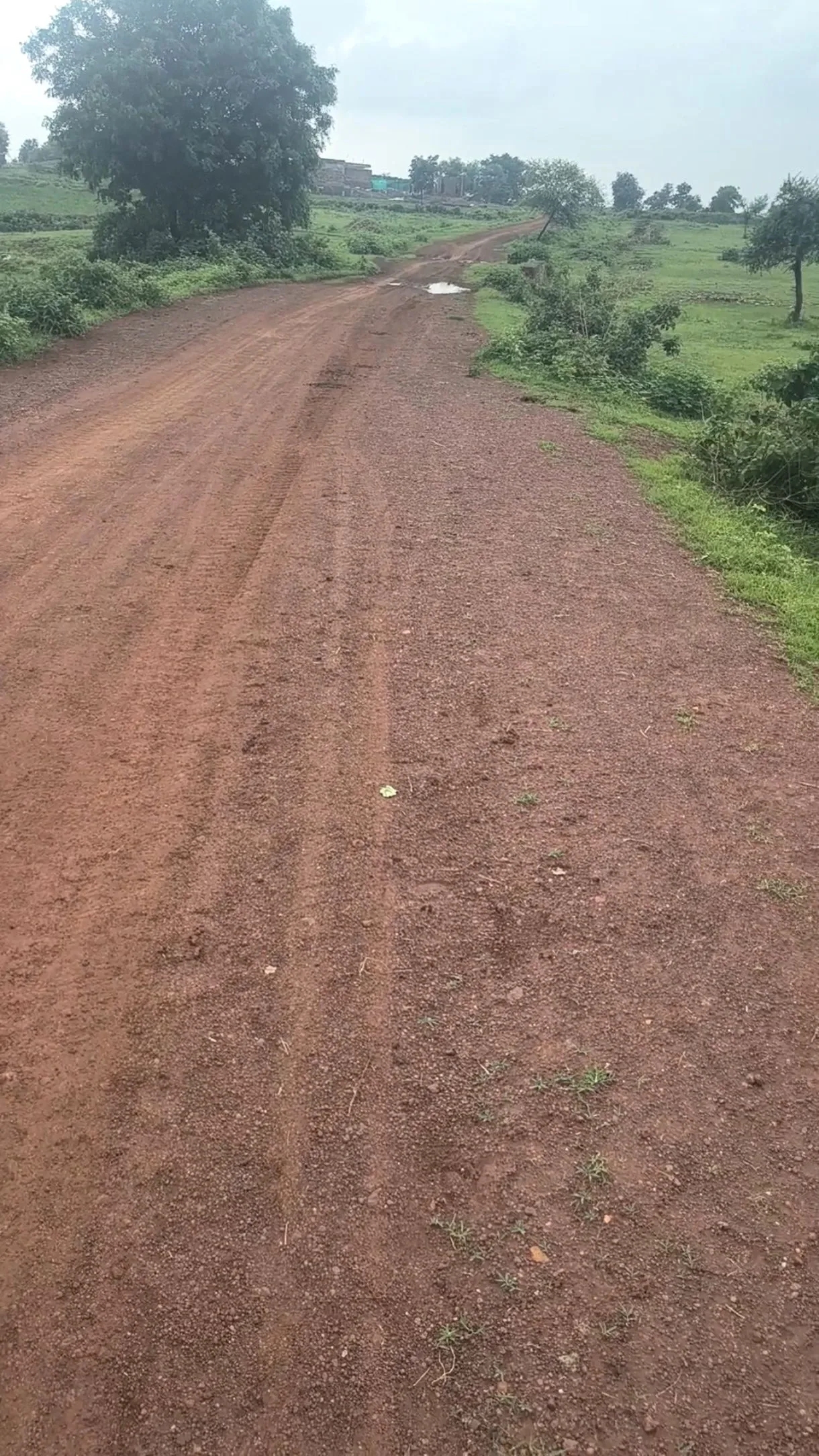 Mandsaur, Madhya Pradesh, India