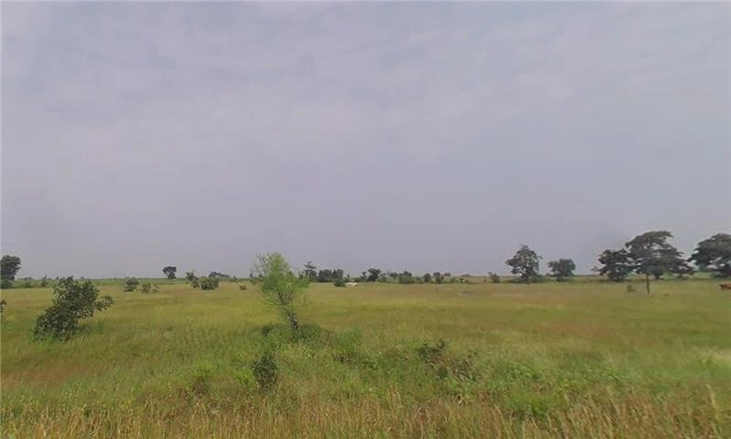 Gangaldoh - to - Malegaon,6.2 KMs, Gangaldoh Village, Maharashtra 441302, India