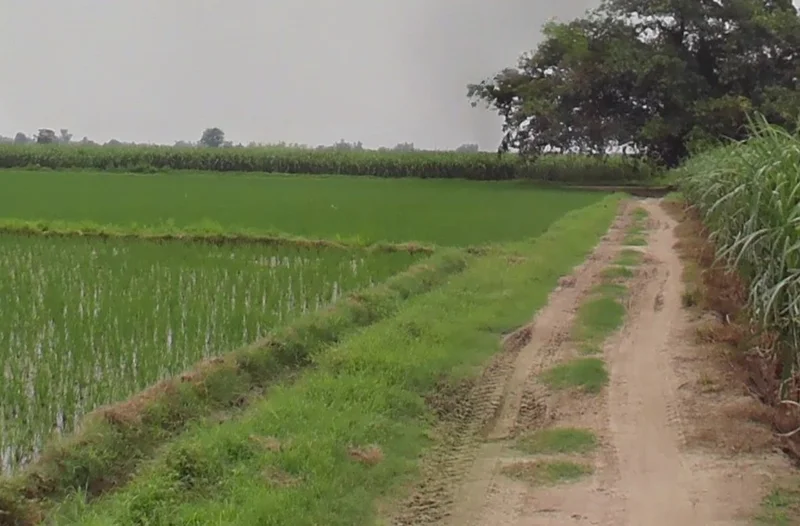 Amtara, Chhattisgarh 495009, India preview 2