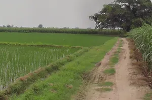 Amtara, Chhattisgarh 495009, India preview 2