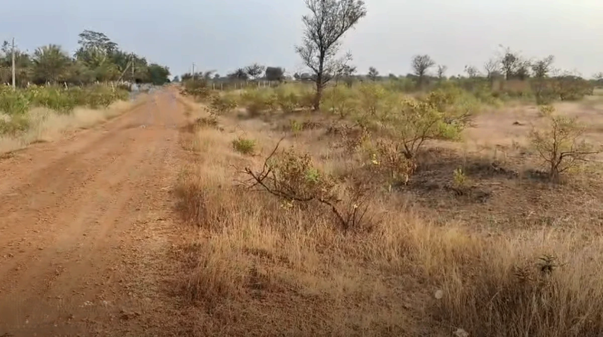 Ganadahunase, Karnataka 572115, India