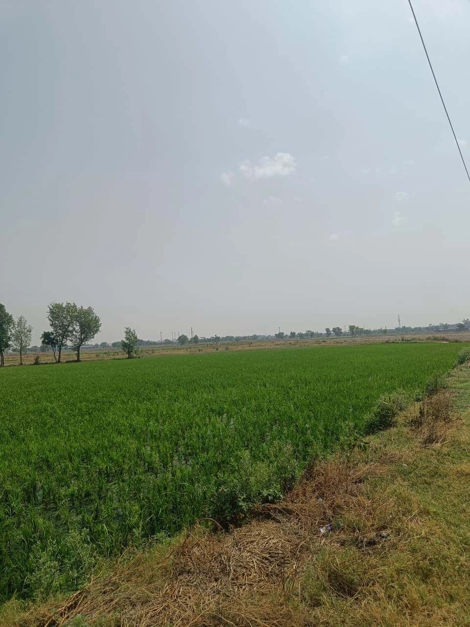 Aou, Rajasthan, India