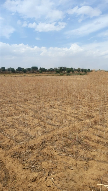 Pali, Rajasthan 301001, India