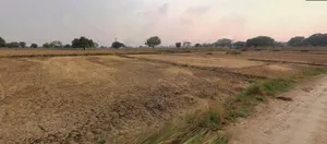 Jaisalmer, Rajasthan 345001, India preview 2