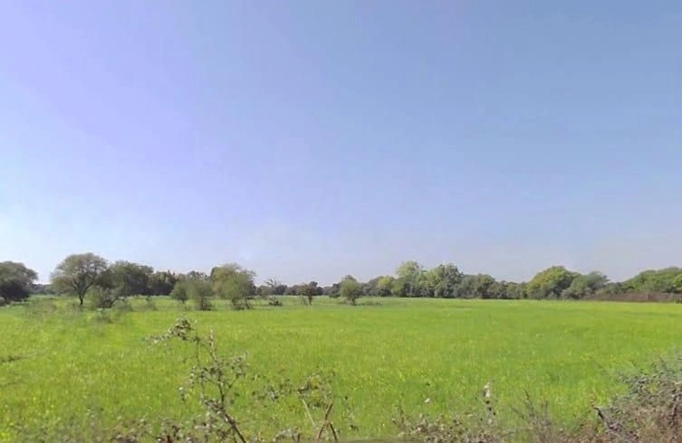 MW9Q+XJ5, Chaksu, Dadanpura, Rajasthan 303901, India