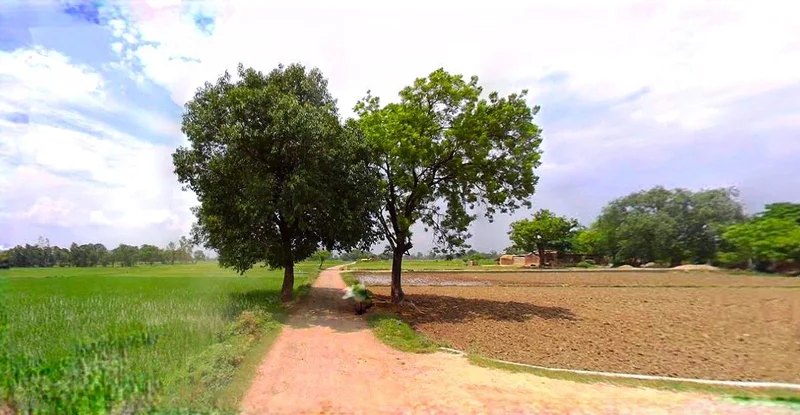 Purulia, West Bengal, India preview 3