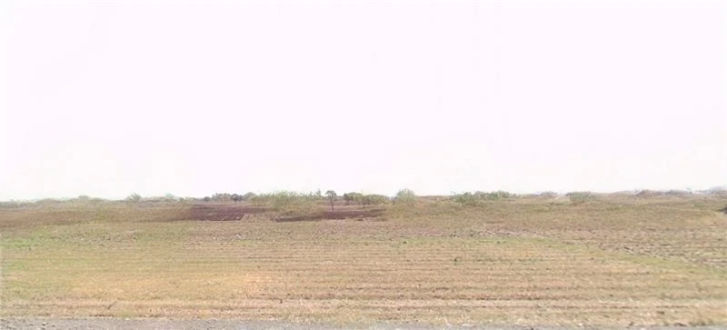 Rajpura, Punjab, India