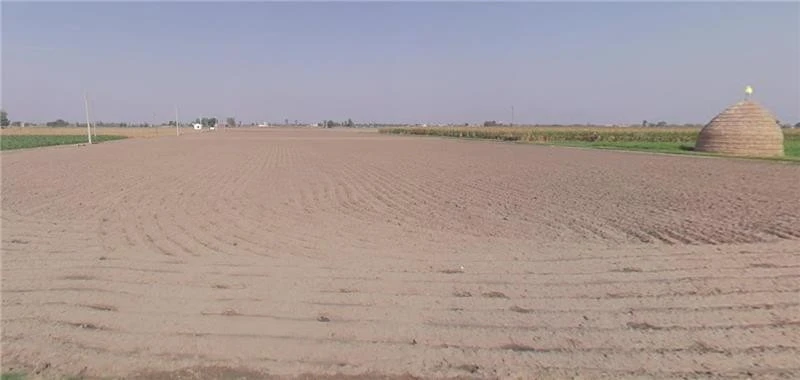 Bhalla Pind, Punjab 143102, India