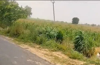 JRR3+FVF, Road, Patiala, Zirakpur, Punjab 140603, India preview 3