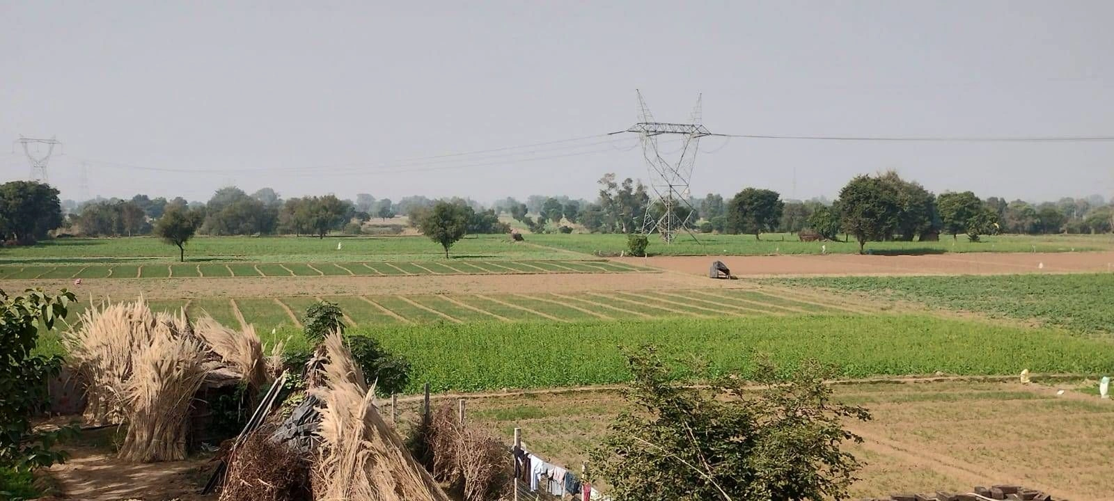 Gopalpur, Sonipat, Haryana 131402, India