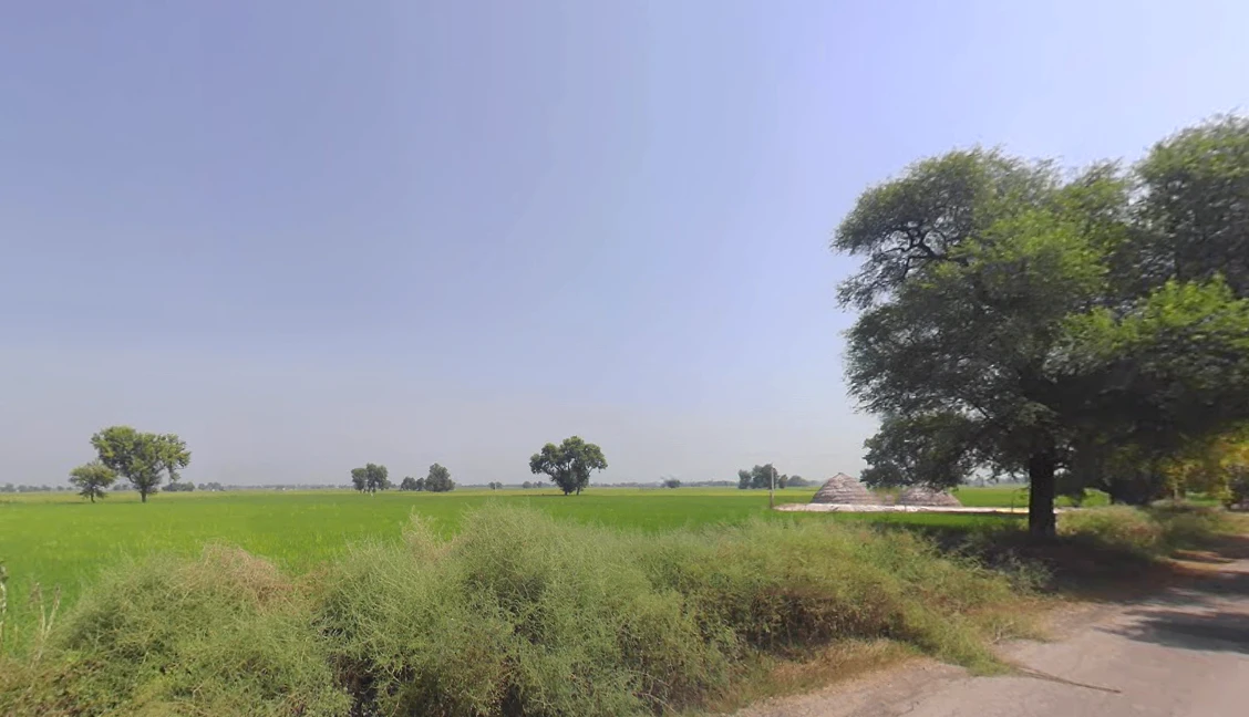 Hizarawan Khurd, Haryana 125050, India