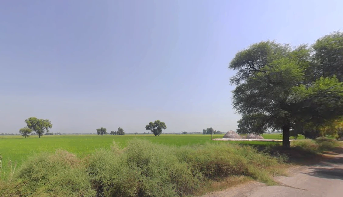 Hizarawan Khurd, Haryana 125050, India