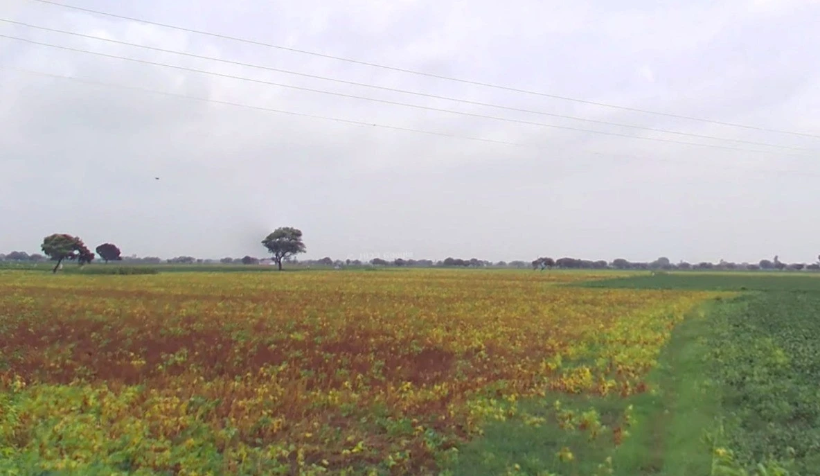 Rajgarh, Madhya Pradesh 465661, India