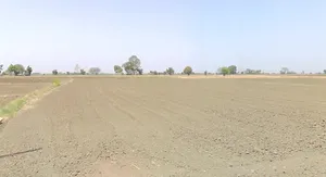 Tanodiya, Madhya Pradesh, India preview 3