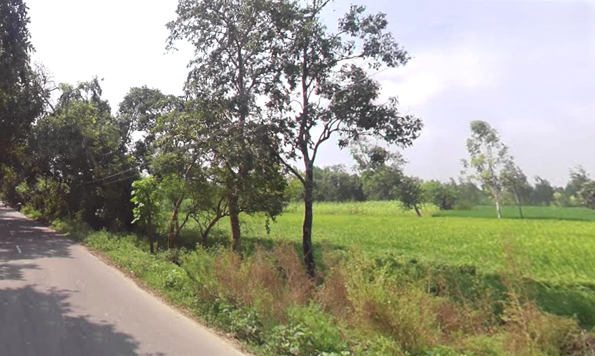 Behat, Uttar Pradesh 247121, India