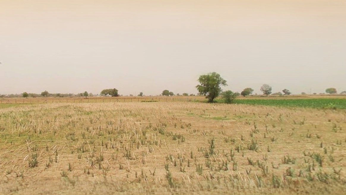 Barnagar, Madhya Pradesh 456771, India