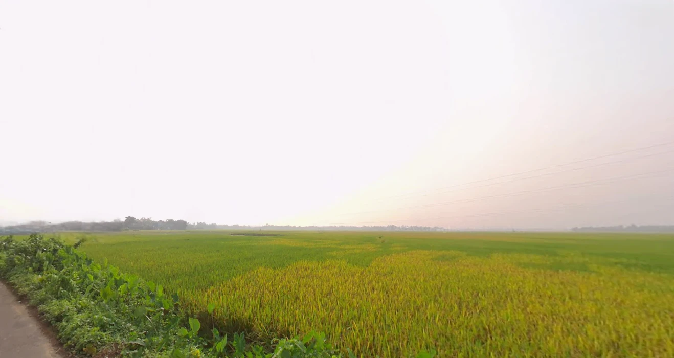 Memari, West Bengal, India preview 2