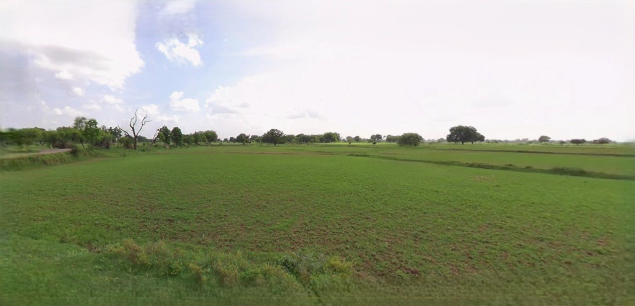 Sonipat, Haryana, India