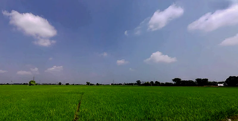 Seona, Patiala, Punjab 147006, India preview 2