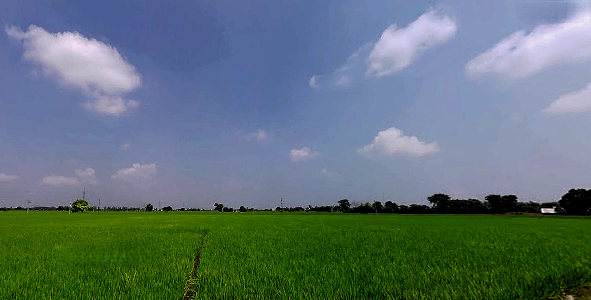 Seona, Patiala, Punjab 147006, India