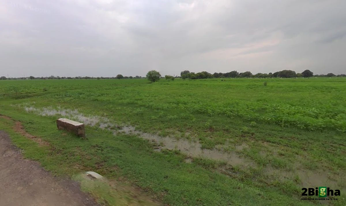 Mehrana, Haryana 124102, India